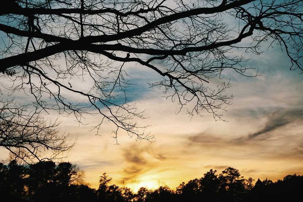 edurne-tx-8xP_QuuPzHQ-unsplash
